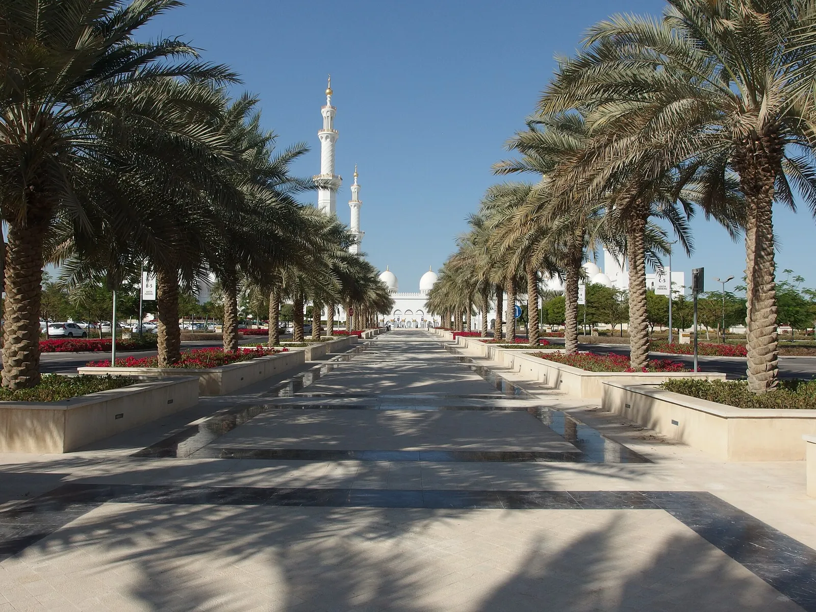 Palm-lined walkway to the Sheikh Zayed Grand Mosque