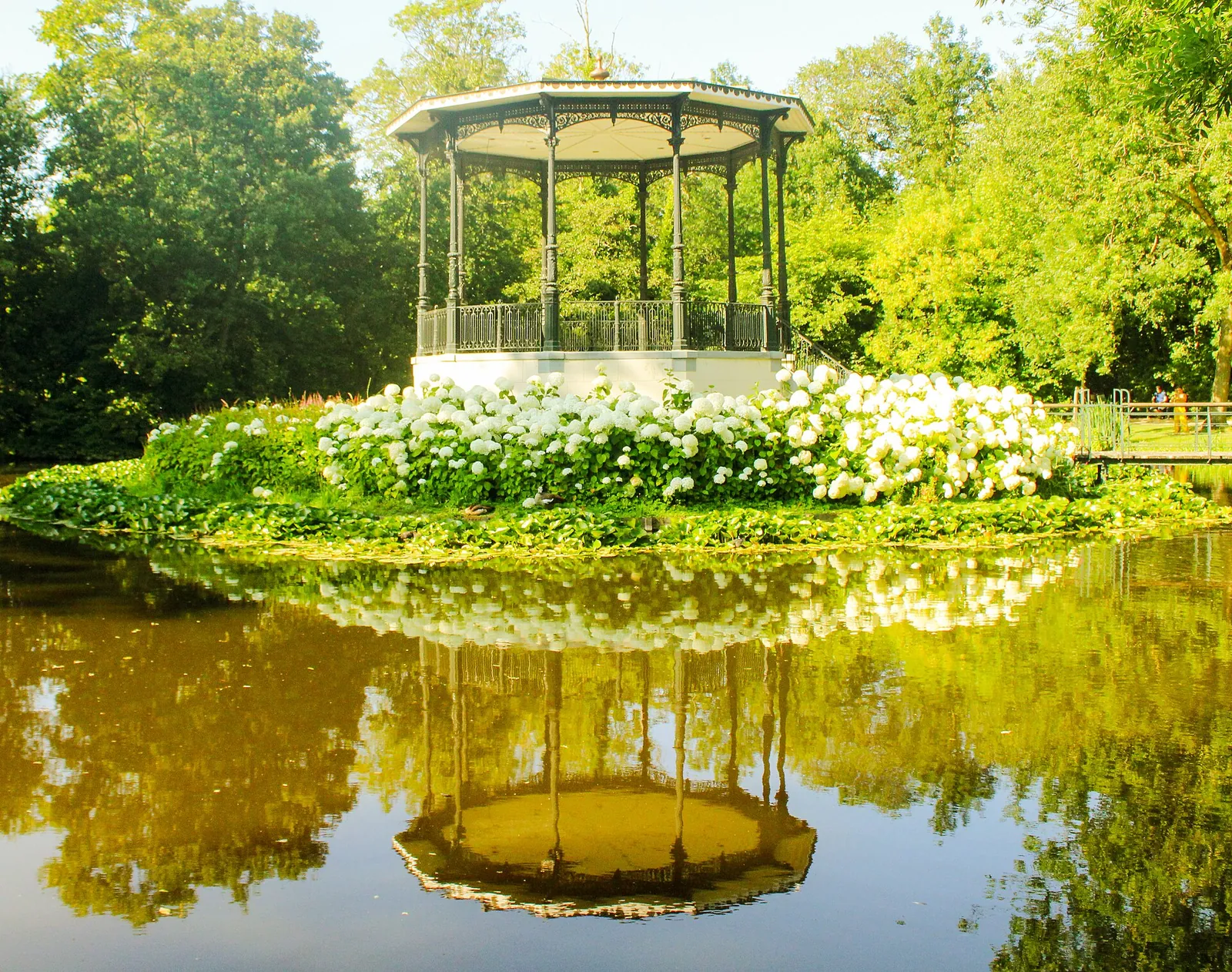 The music pavilion reflected in a Vondelpark pond