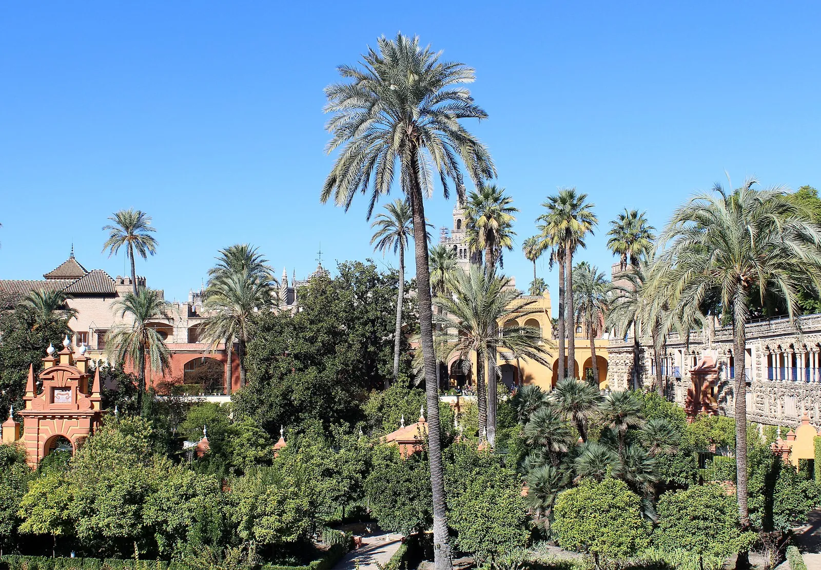 Palm trees and gardens of the Real Alcázar, Seville