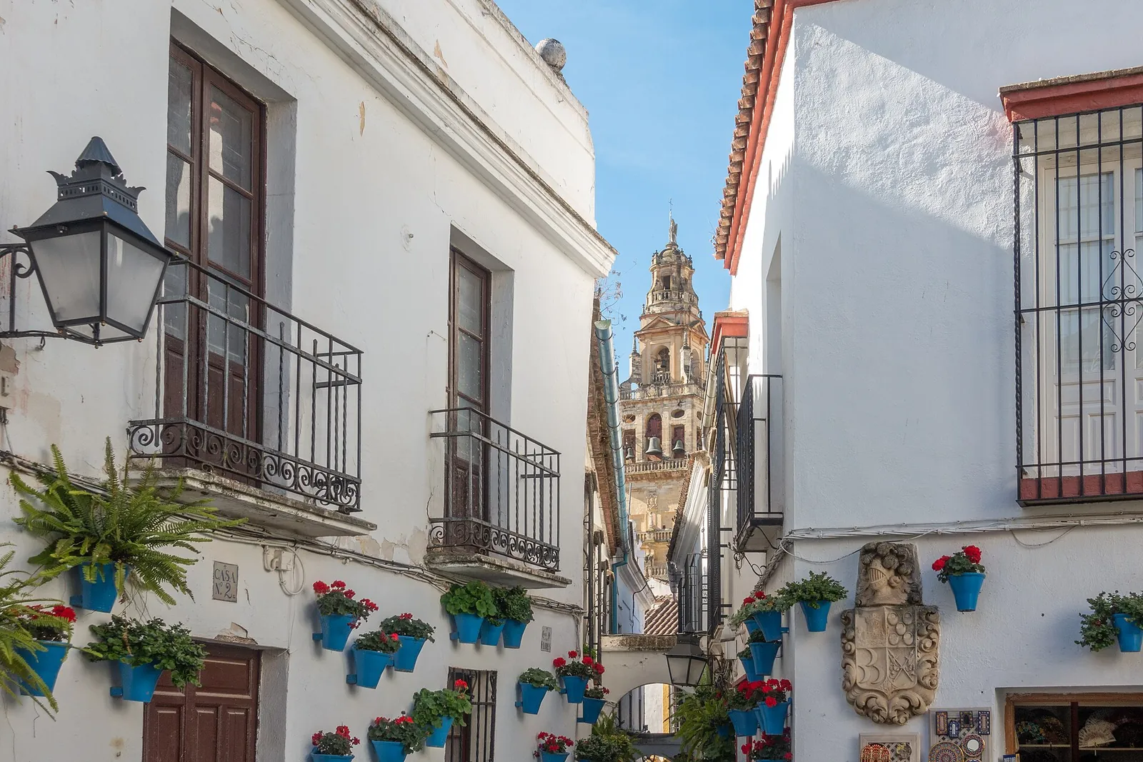 Flower pots on white walls in Córdoba's Calleja de las Flores