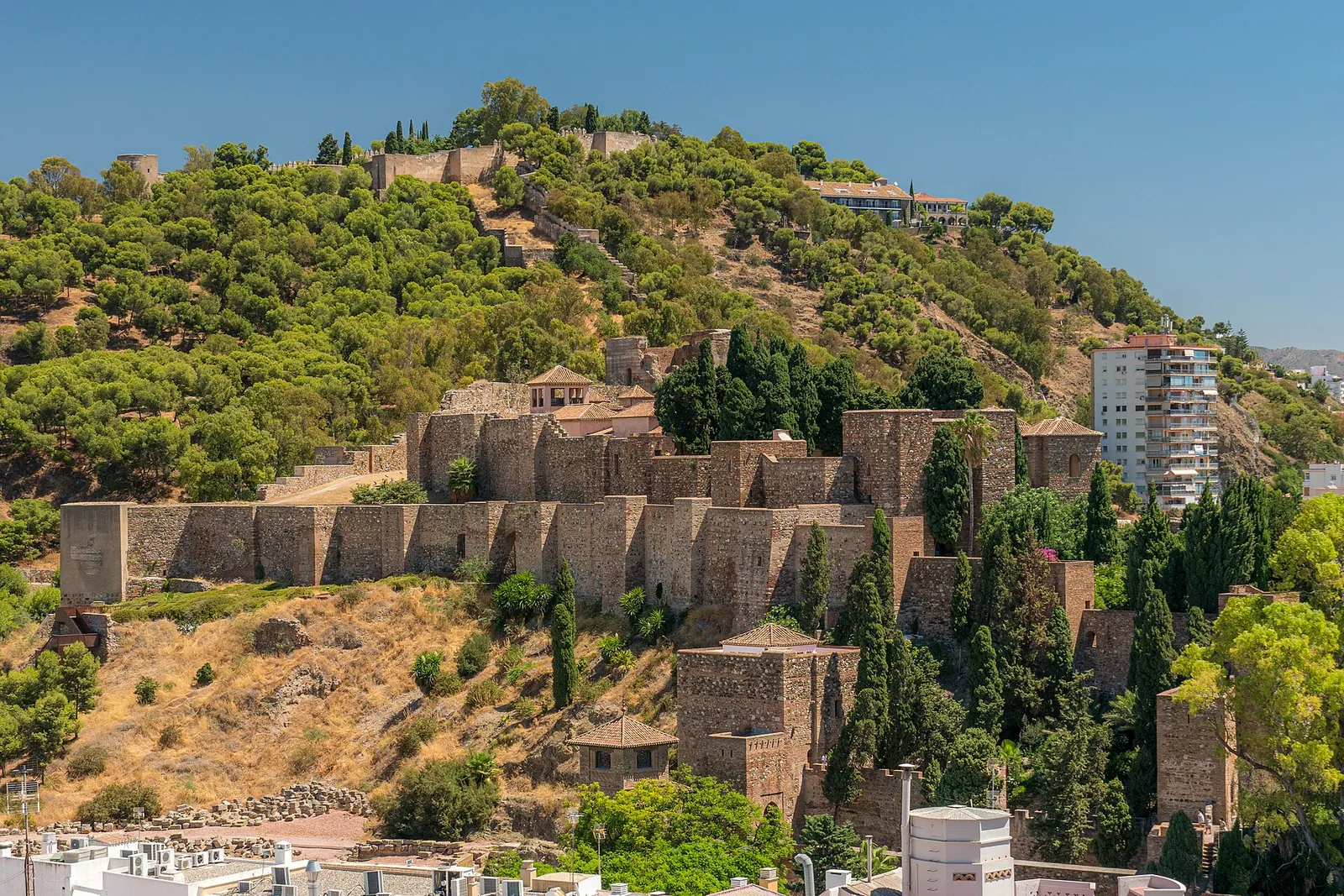 Walls of Málaga's Alcazaba climbing the green hillside