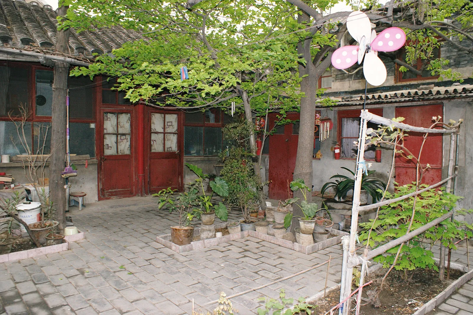 Plants and red doors in a quiet hutong courtyard