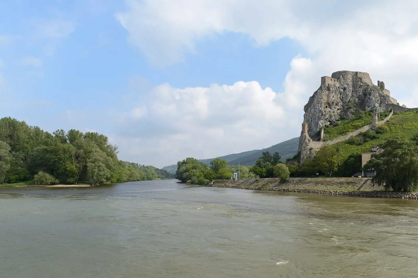 Devín Castle ruins above the meeting of two rivers