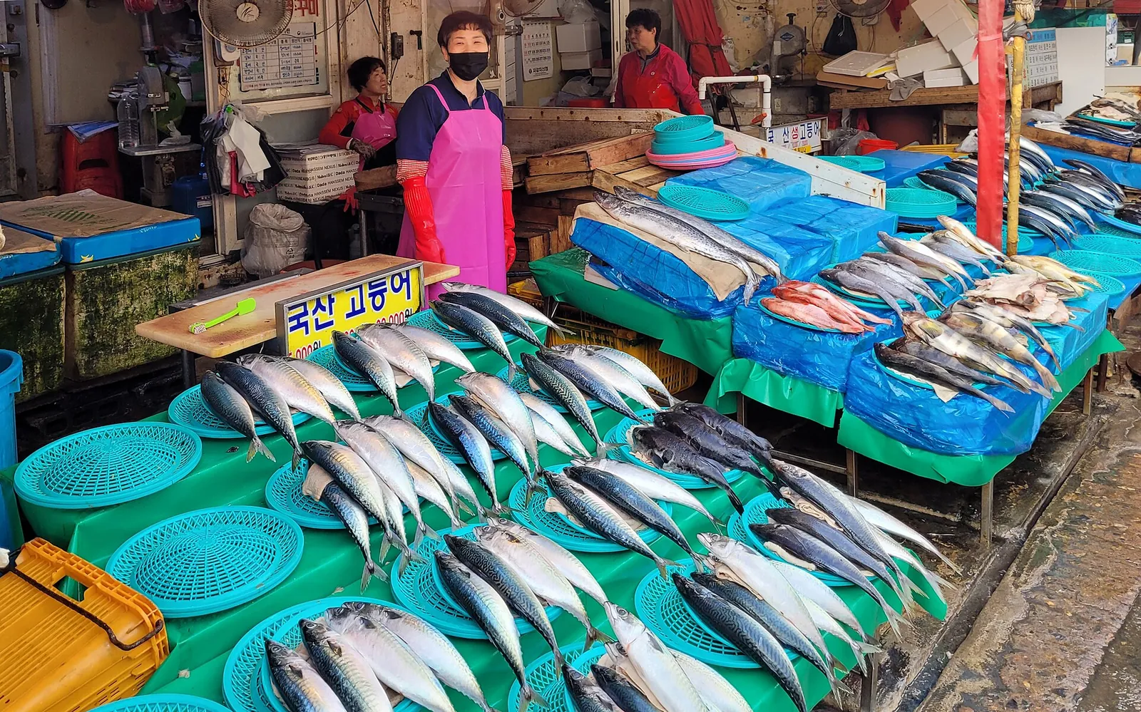 Fresh fish laid out at a Jagalchi Market stall