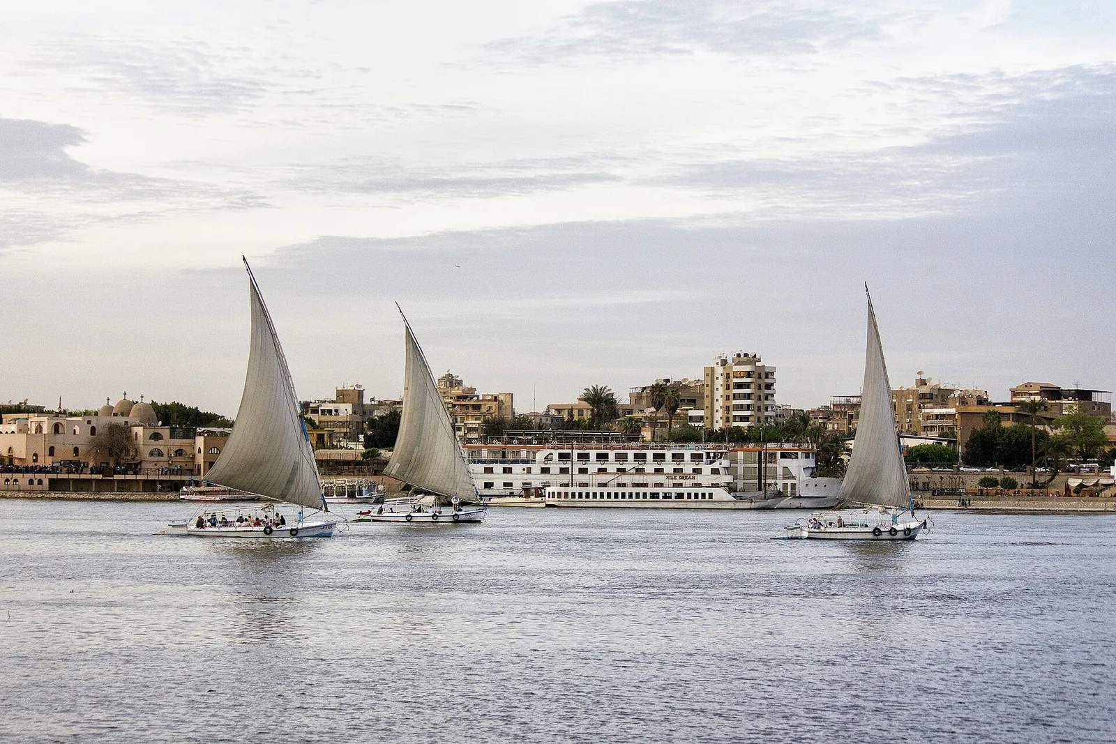 White-sailed feluccas gliding along the Nile