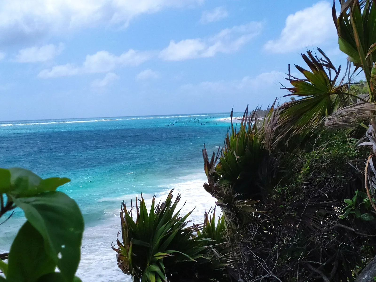 Turquoise sea and jungle greenery on the Tulum coast