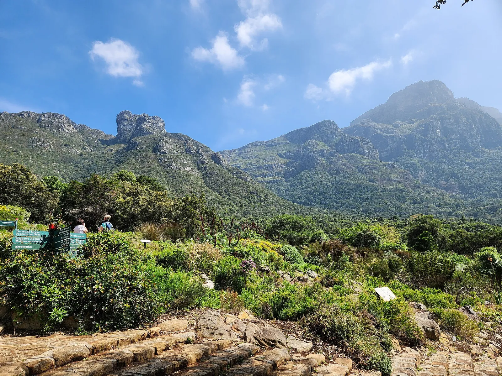 Kirstenbosch garden beneath the slopes of Table Mountain