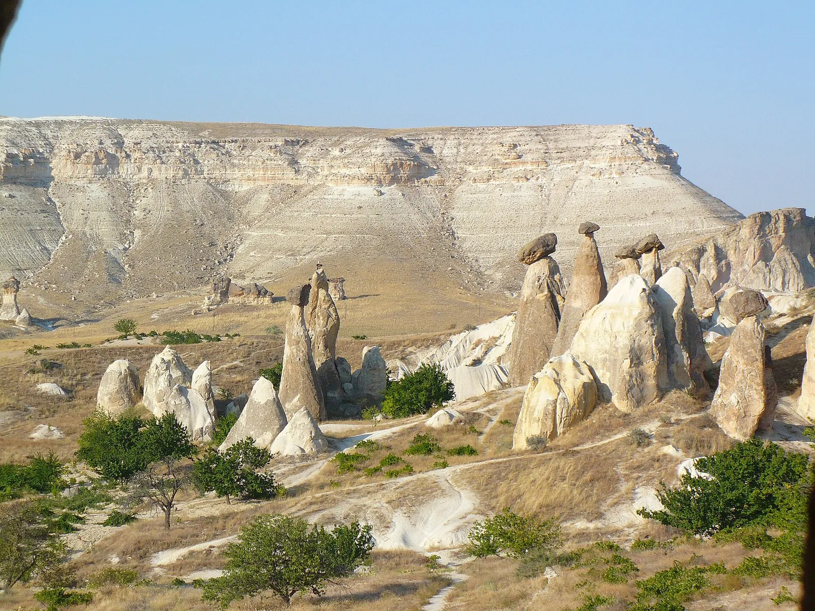 Fairy chimneys in the countryside near Urgup