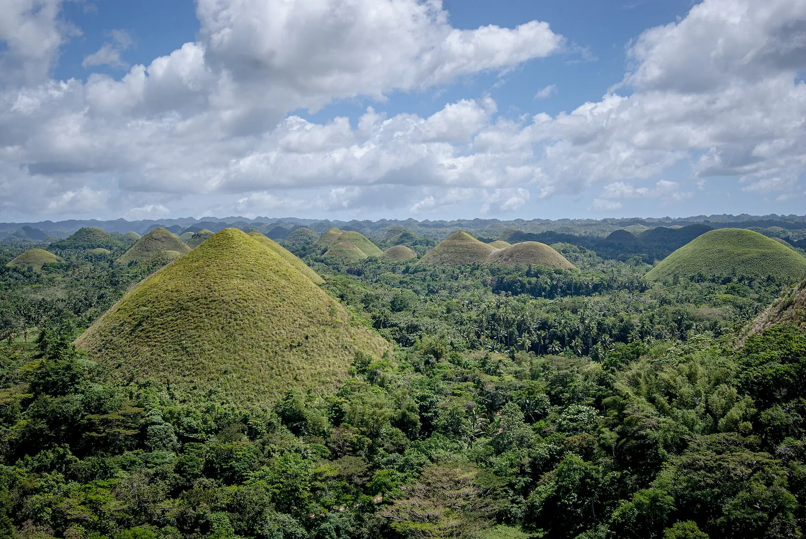 Grassy domes of the Chocolate Hills near Carmen