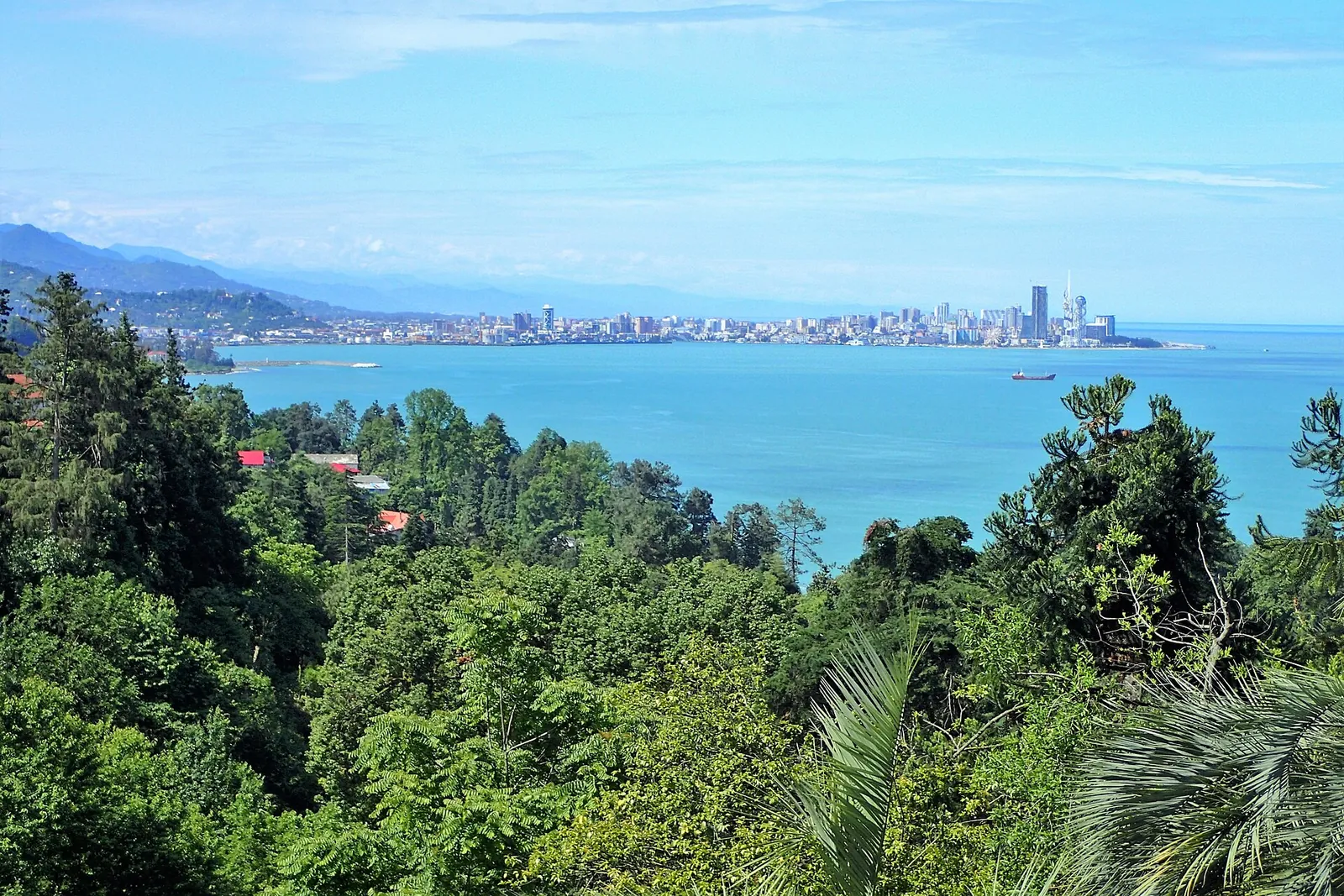 Batumi Botanical Garden looking out over the Black Sea