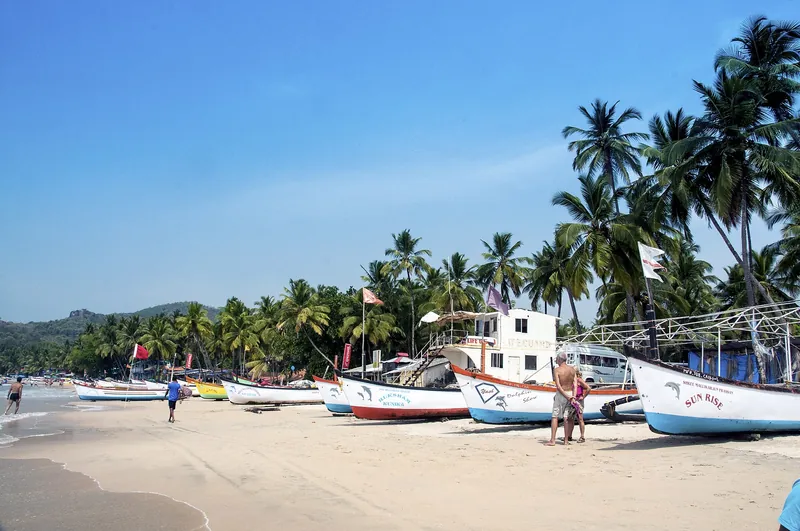 Colourful fishing boats and palms on Palolem beach