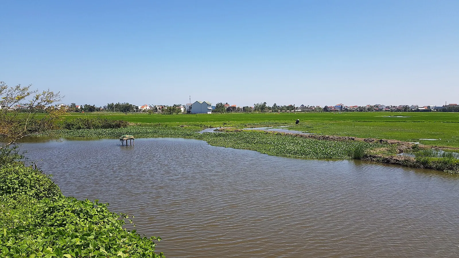Green fields and ponds near Tra Que village
