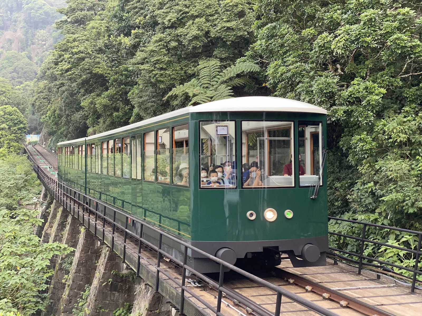 A green Peak Tram climbing through the trees