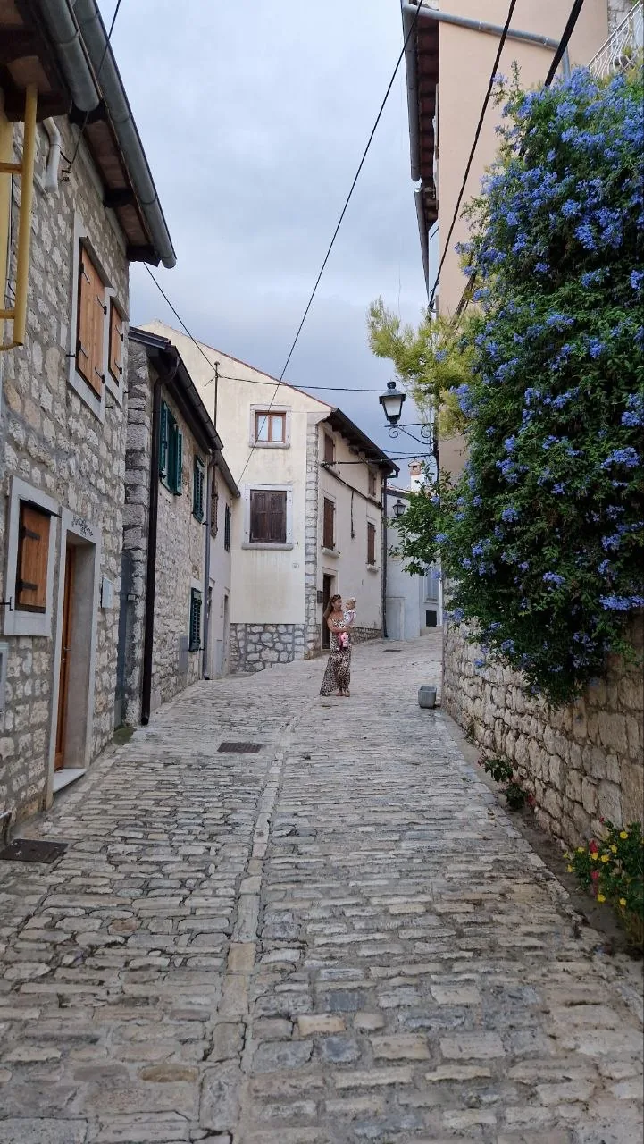 A quiet, stone-paved lane in Rovinj with blue flowers spilling over a wall