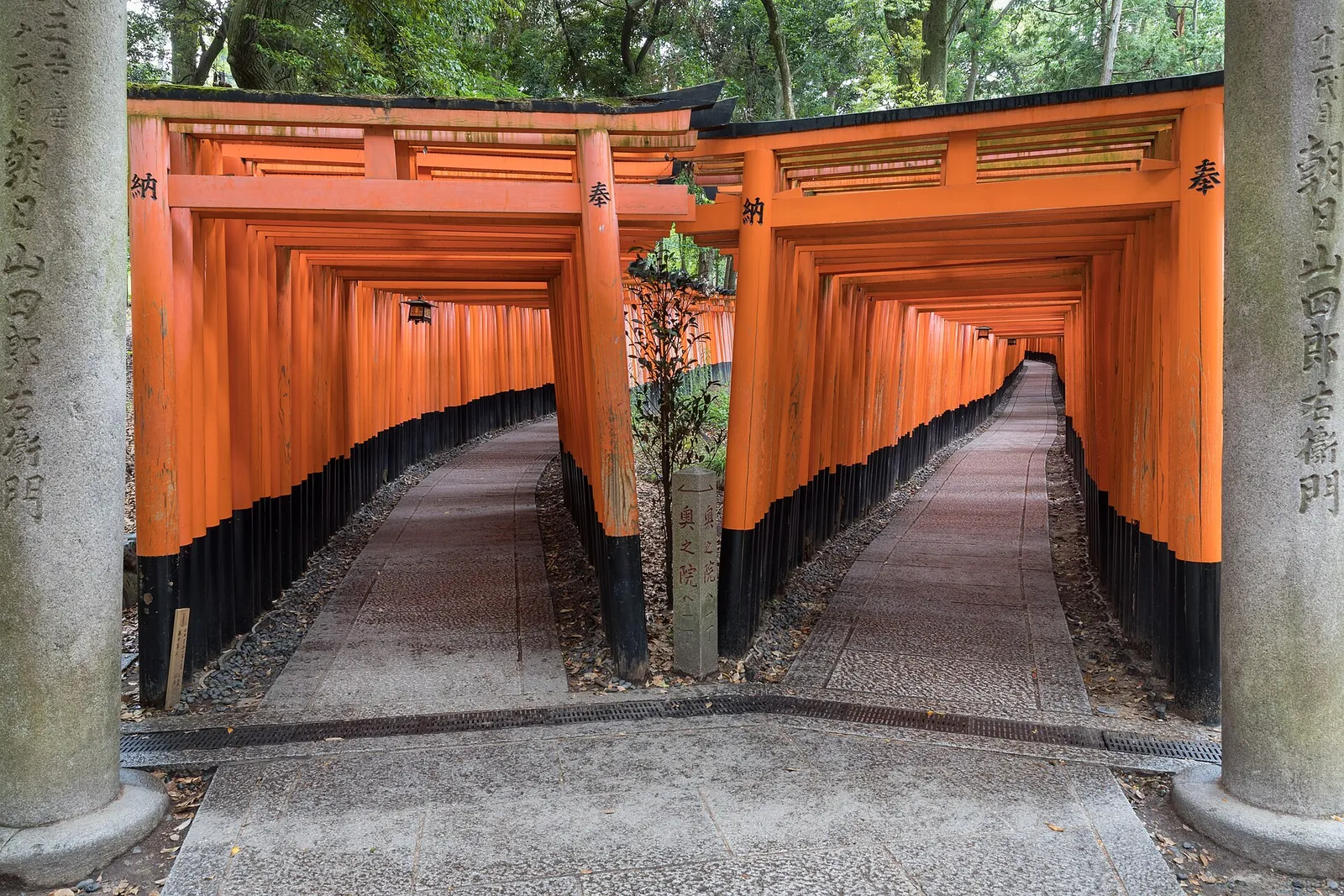 Twin paths of orange torii gates at Fushimi Inari