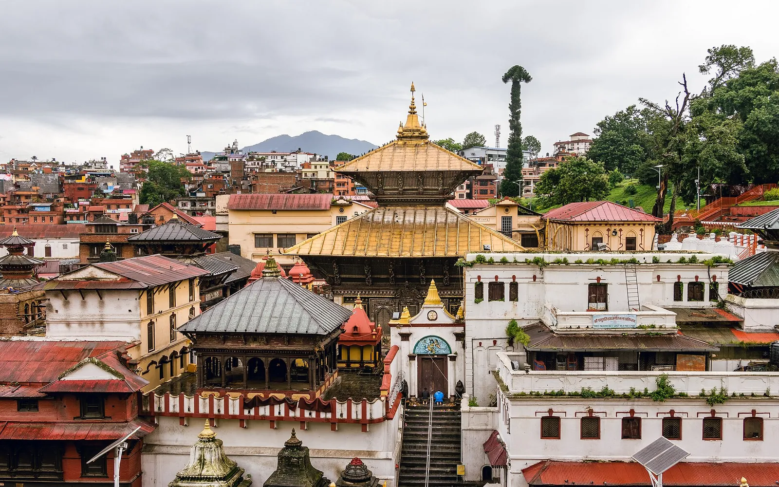 The golden roofs of Pashupatinath Temple above the Bagmati