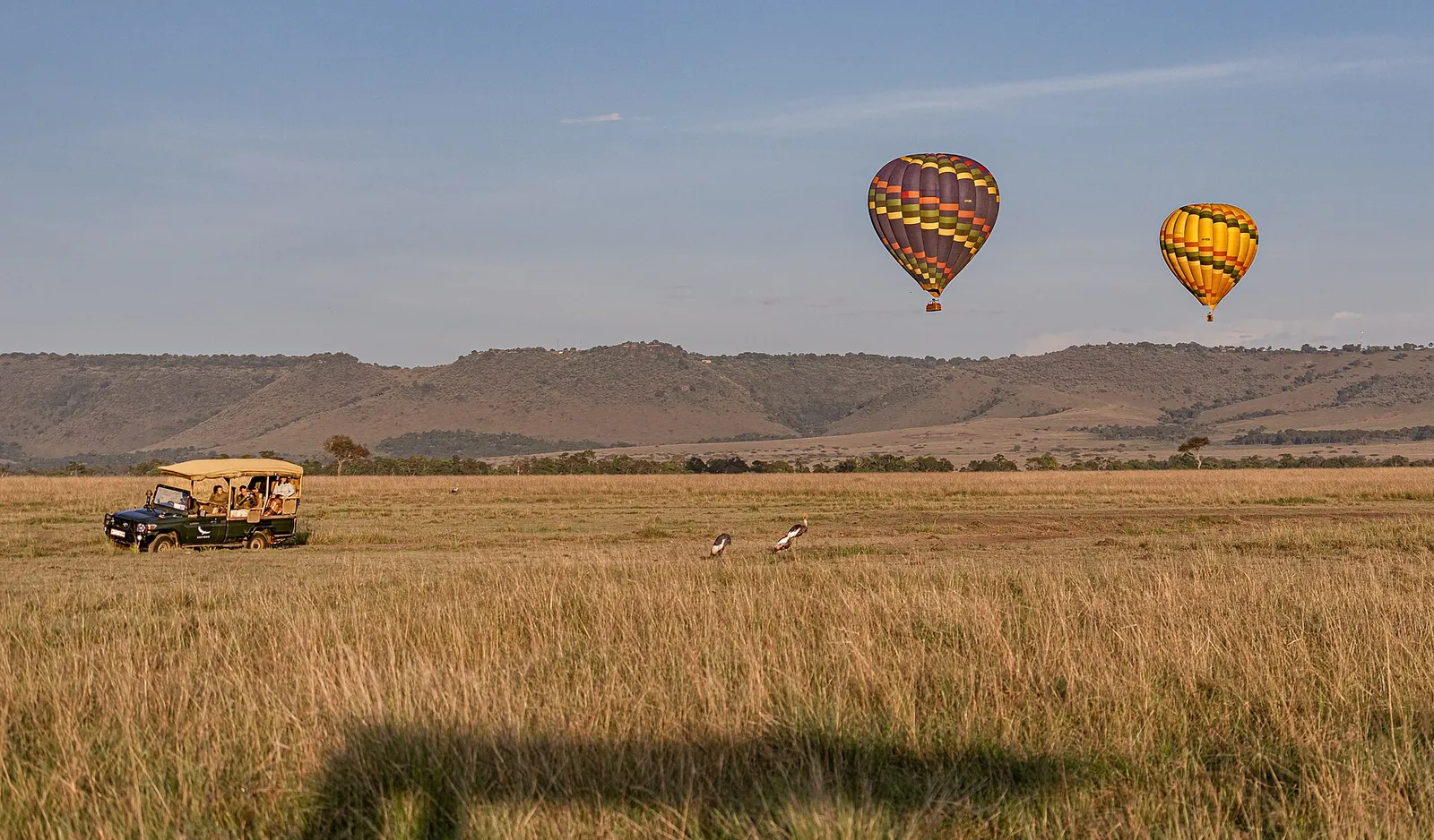 Hot-air balloons drifting over a Mara game drive