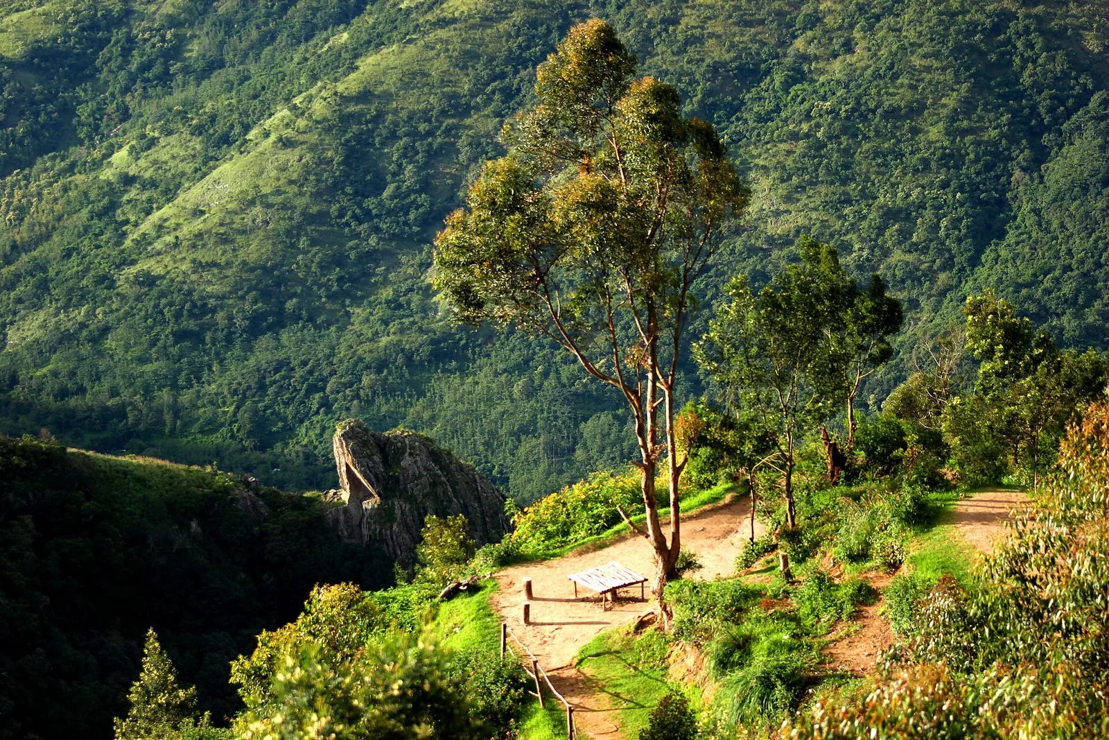 Green ridges and forest at Top Station near Munnar