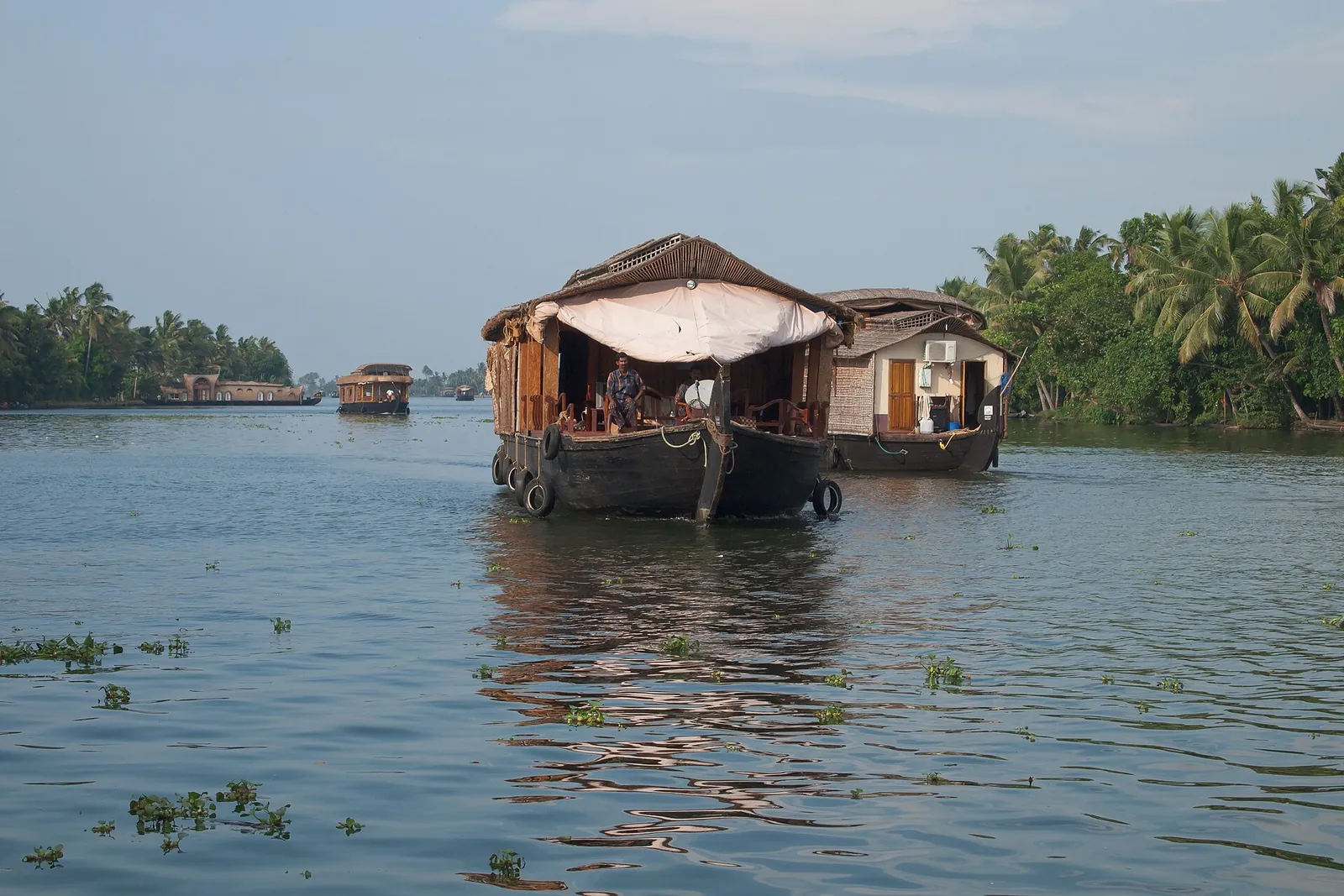 Houseboats moored among palms on the Kerala backwaters