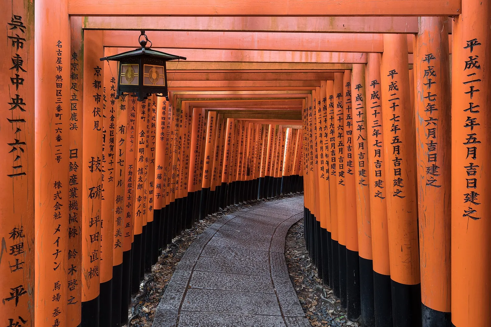 Vermilion torii tunnel at Fushimi Inari Taisha
