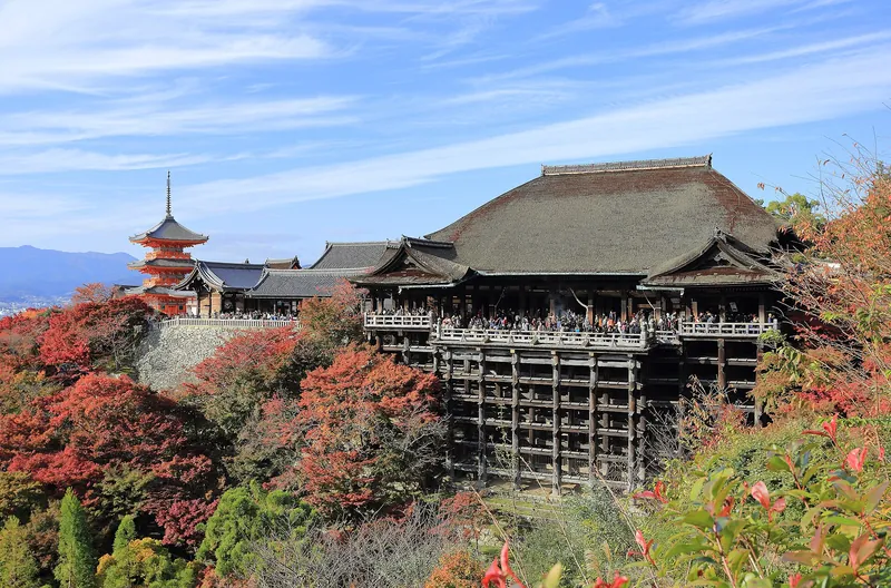 Kiyomizu-dera's wooden stage above autumn maples, Kyoto