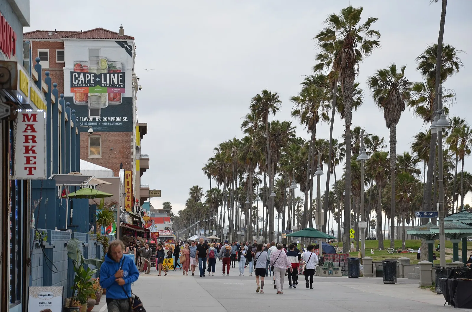 Palm-lined Venice Beach Boardwalk on a sunny day
