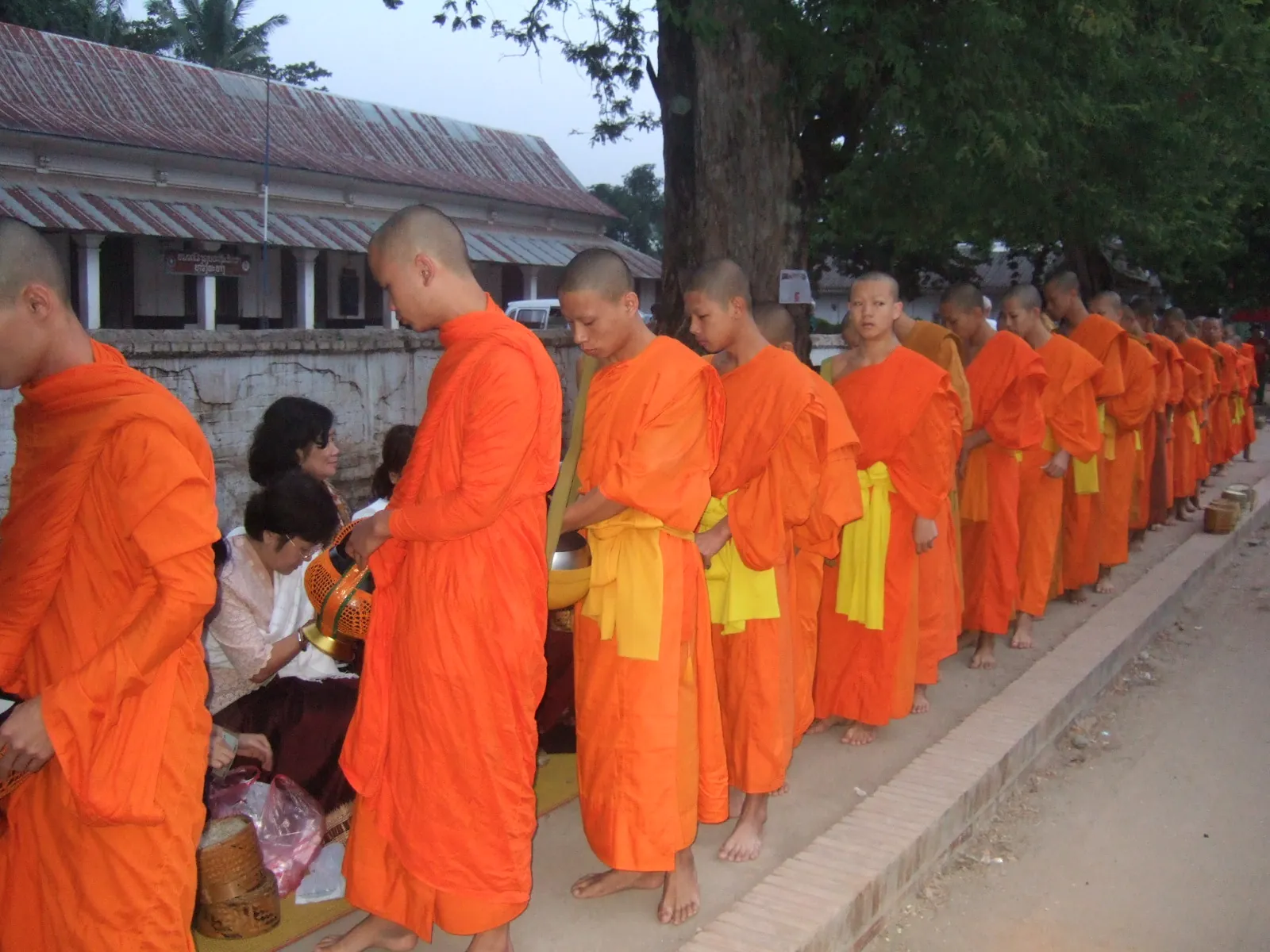 Monks in saffron robes walking in line at the morning alms