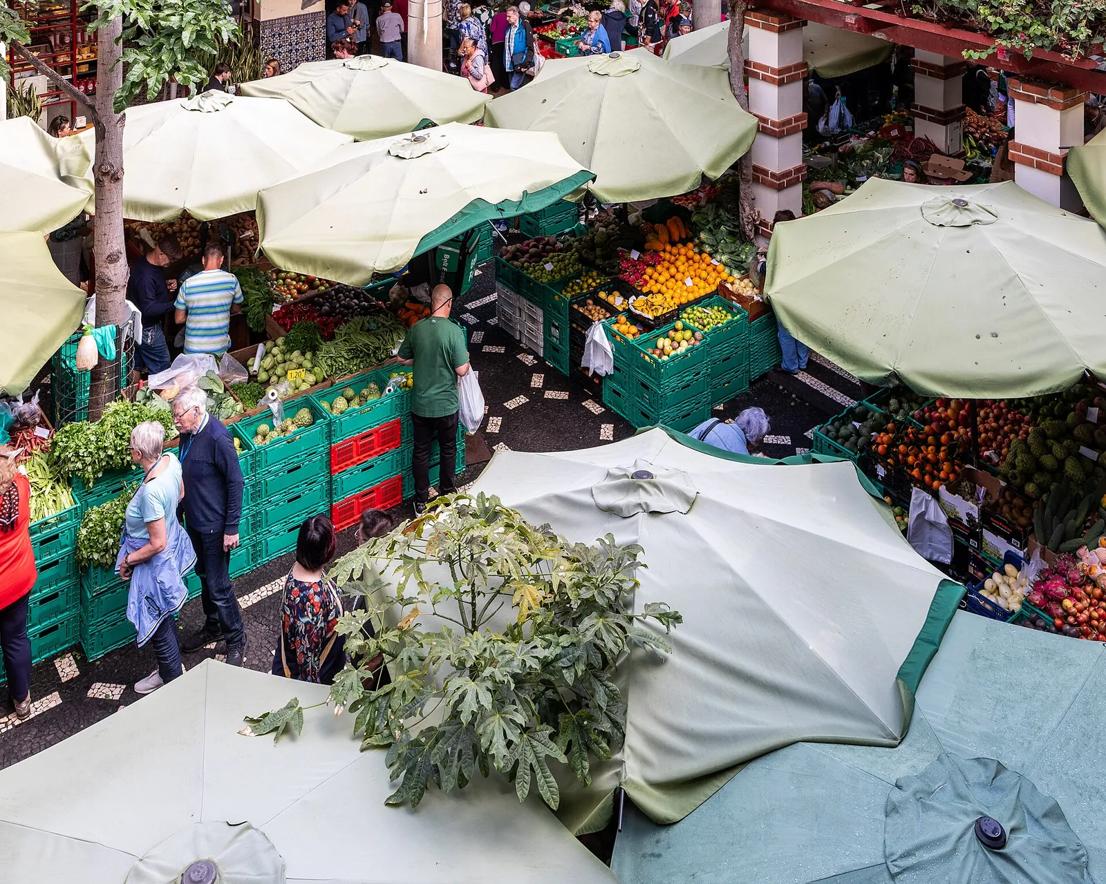 Fruit and flower stalls at Funchal's Mercado dos Lavradores