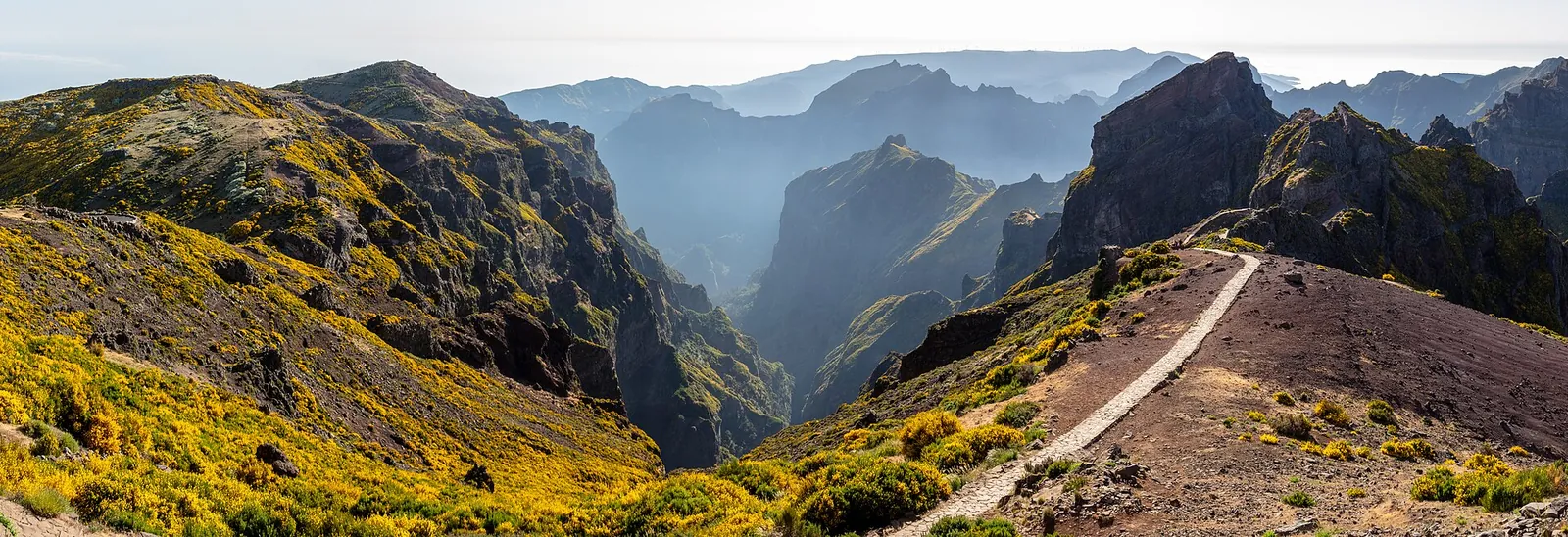 The ridge trail winding away from Pico do Areeiro