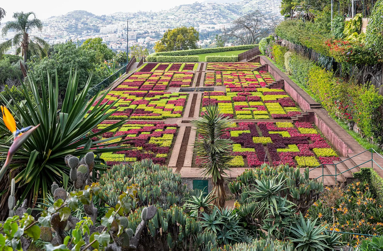 Patterned flower beds at the Madeira Botanical Garden