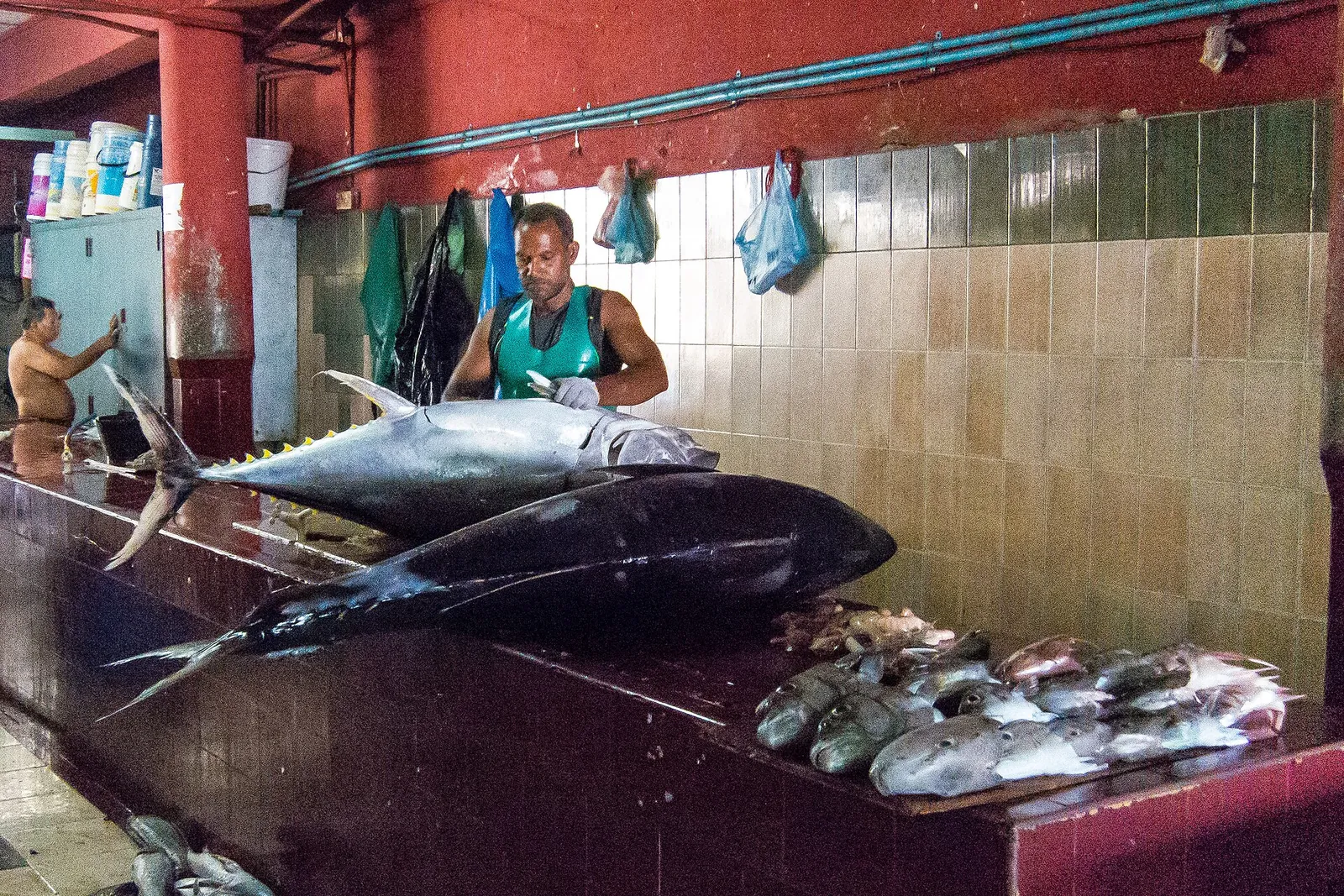 Fresh tuna laid out at the Malé fish market