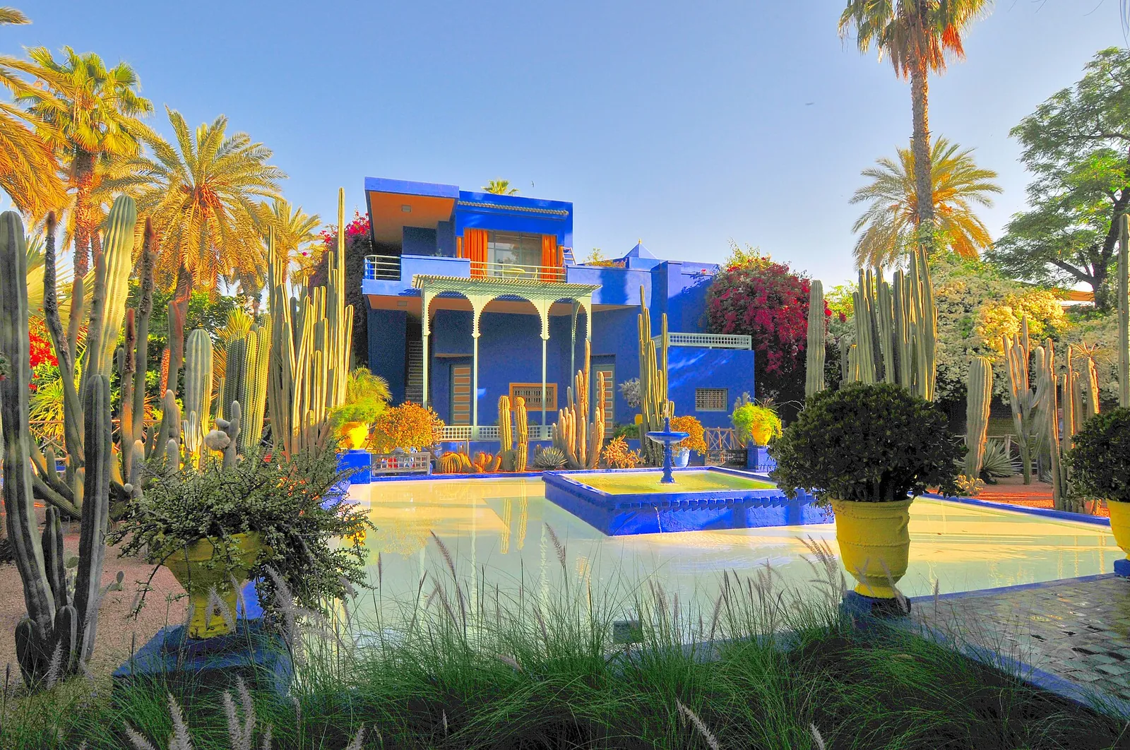 Cobalt-blue villa and cacti in the Jardin Majorelle