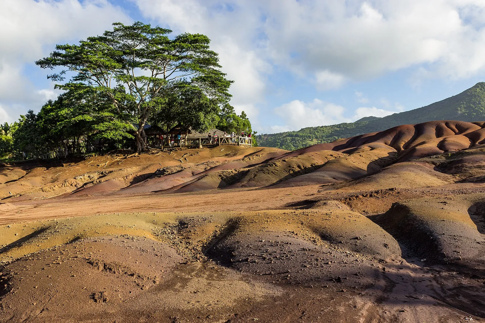 Rippled dunes of the Seven Coloured Earth in Chamarel