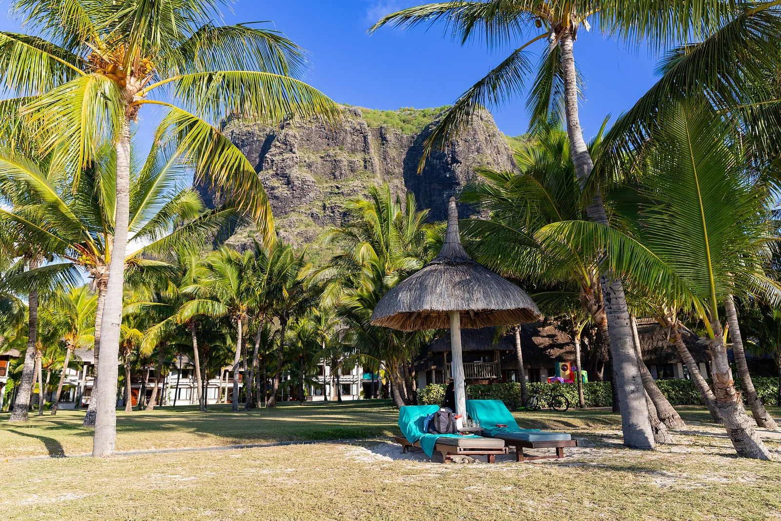 Palm trees on Le Morne beach below the mountain