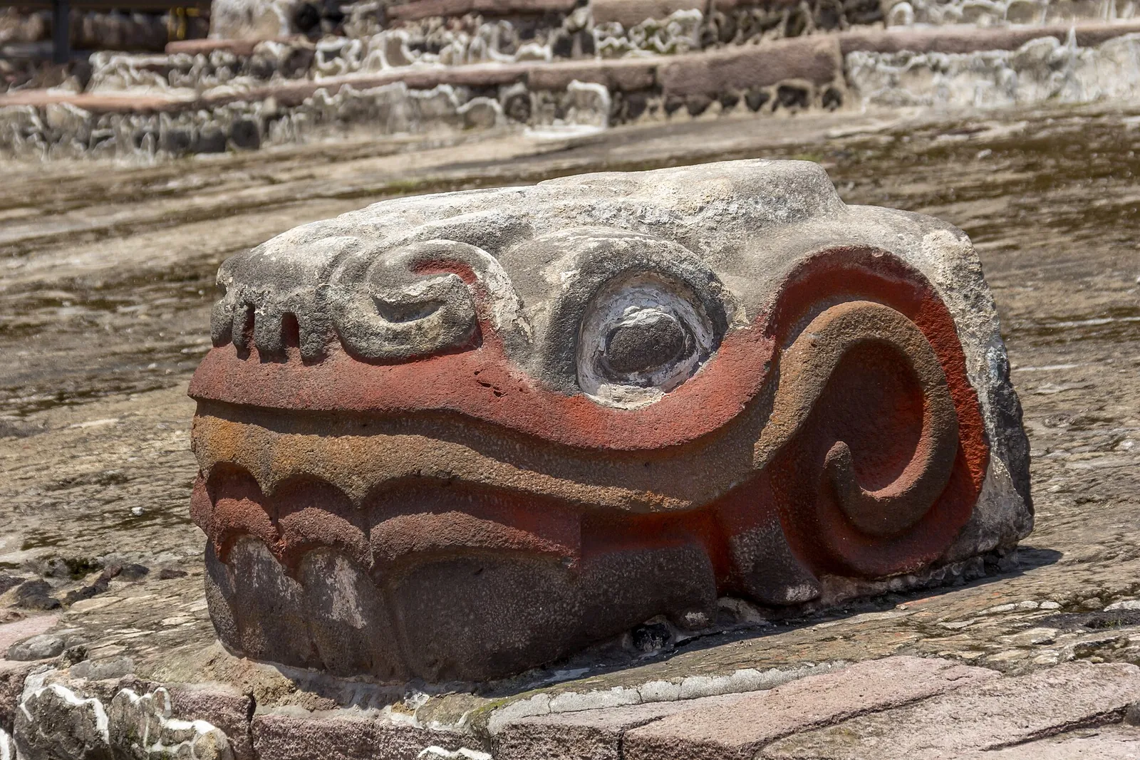 A carved serpent head at the Templo Mayor ruins