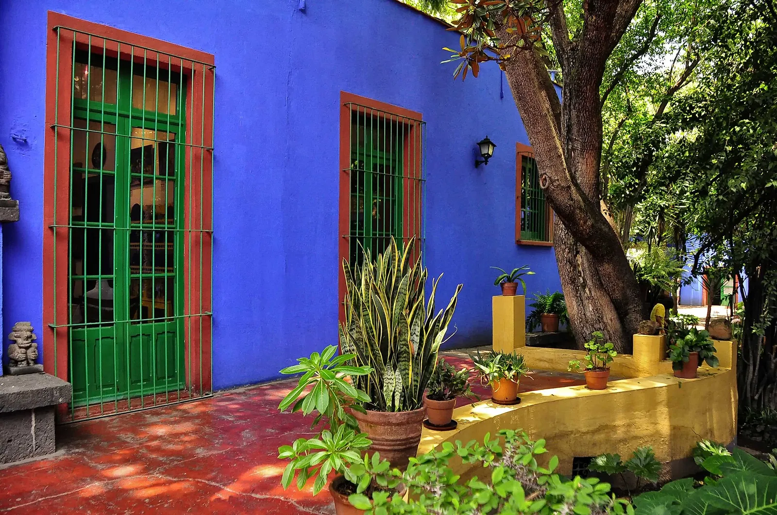 Cobalt-blue walls and plants at the Casa Azul