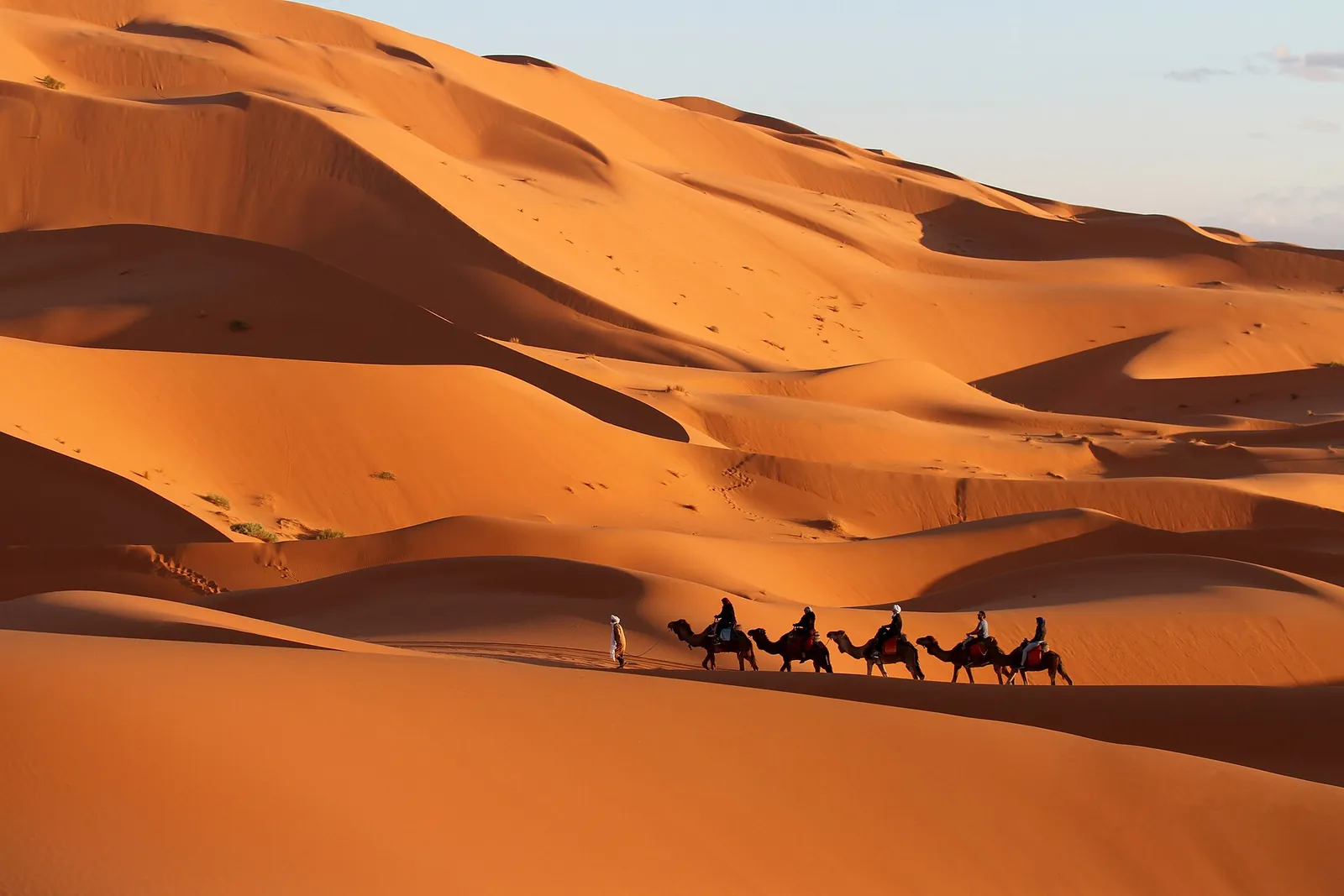 A camel line winding across the dunes of the Moroccan Sahara
