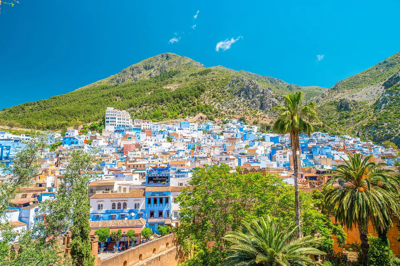 Blue-washed Chefchaouen spread below green Rif mountains