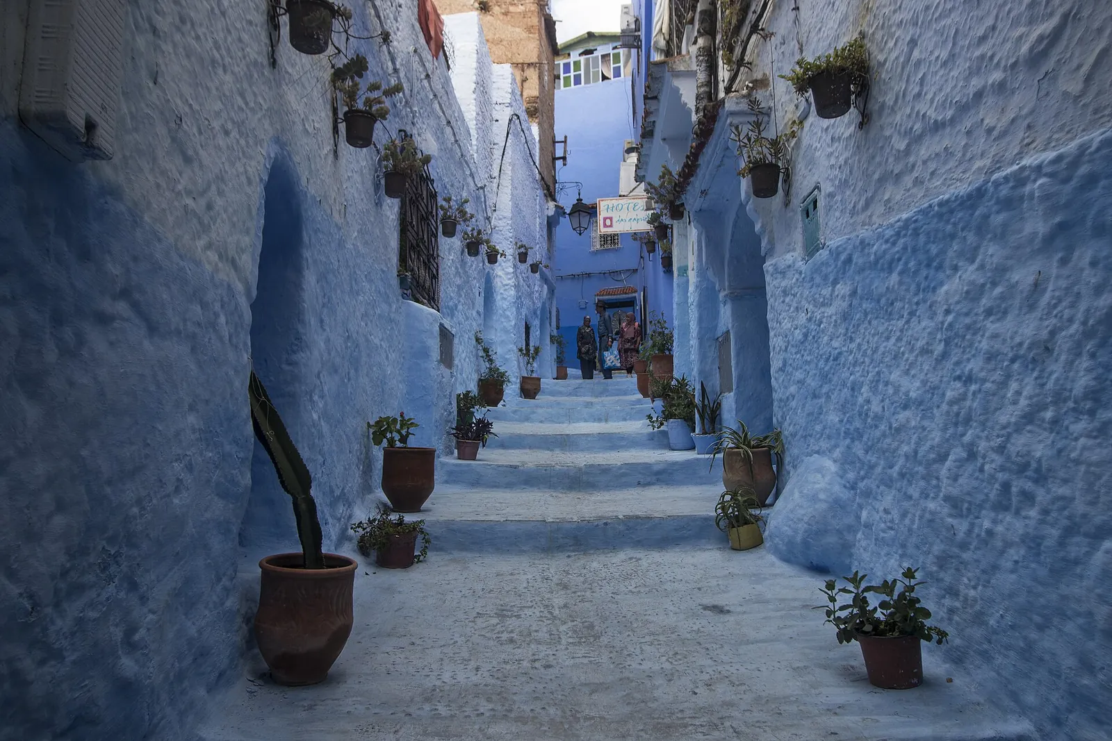 A blue stepped lane with flower pots in Chefchaouen