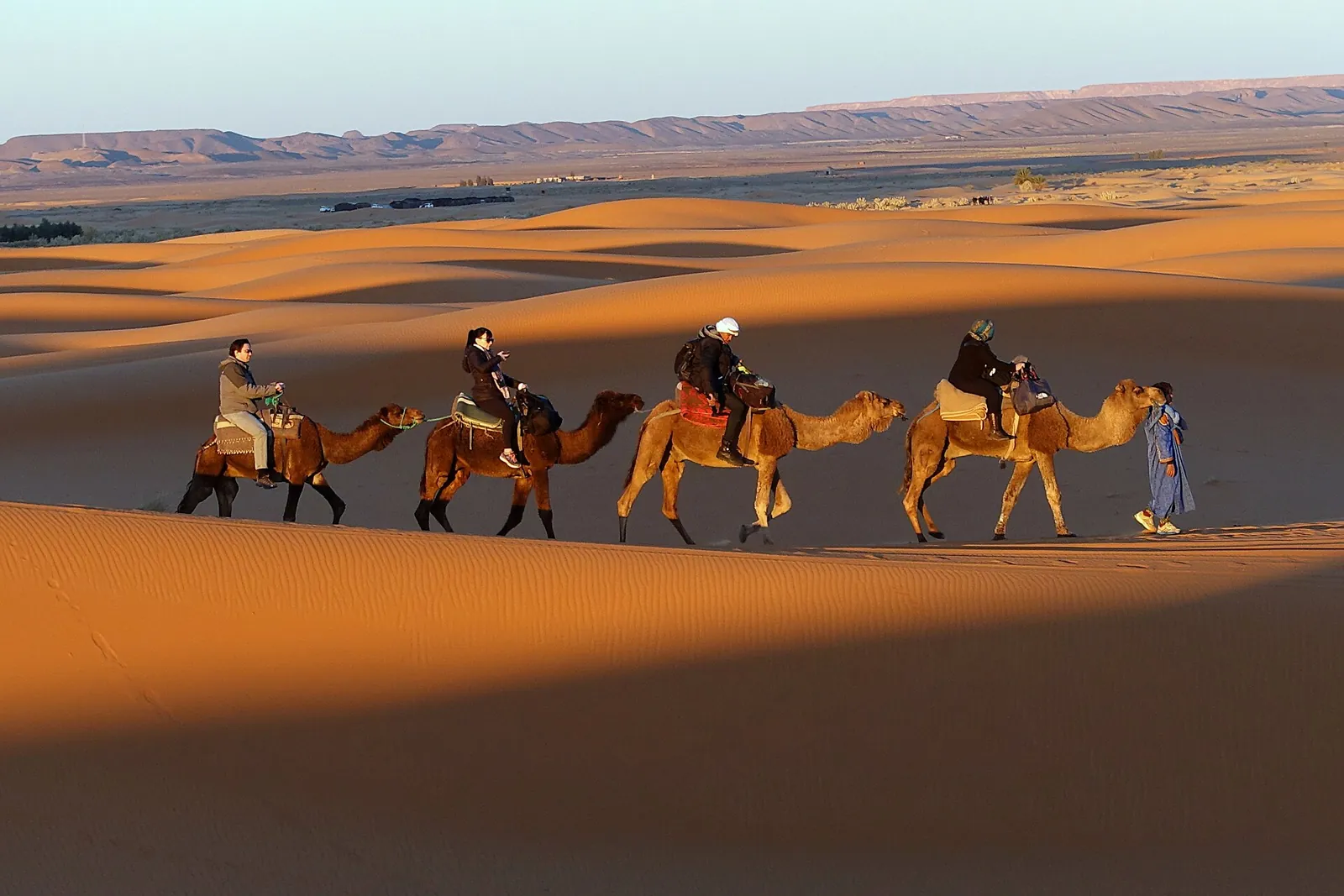 A camel caravan crossing golden Saharan dunes in Morocco