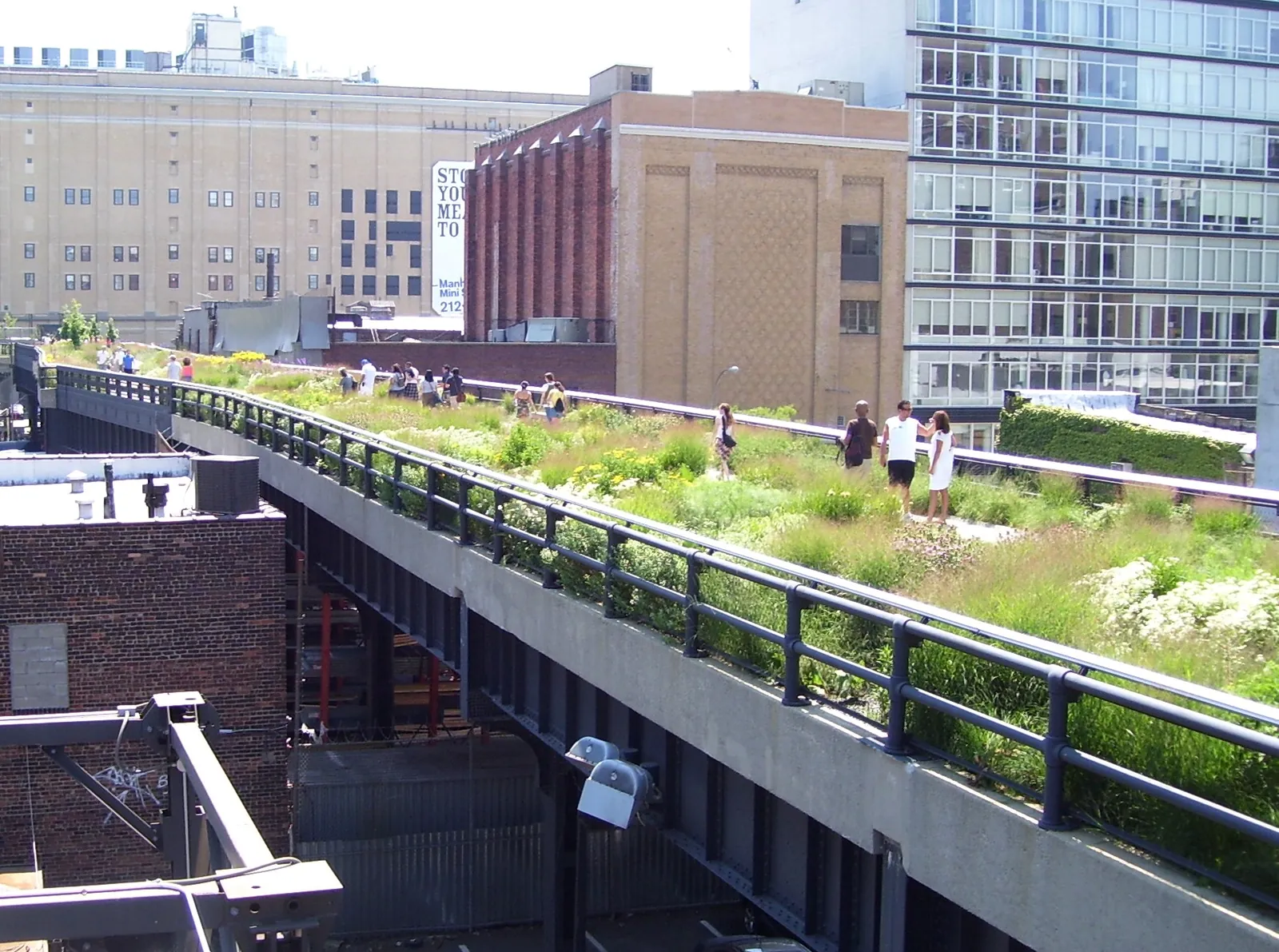 Wildflower gardens along the High Line in Chelsea