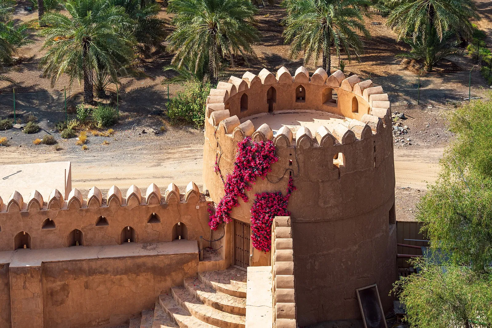 Jabreen Castle's walls framed by palm trees
