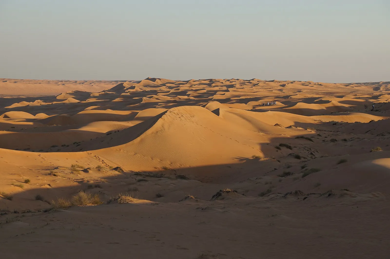 Soft morning light over the Wahiba dunes