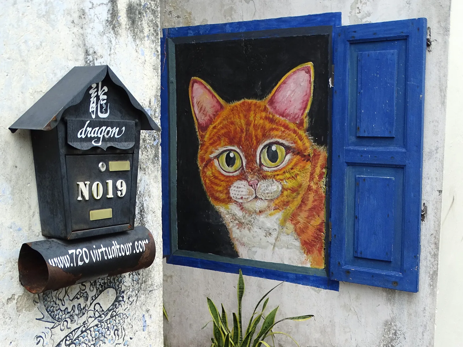 Cat mural beside a blue shutter on Armenian Street