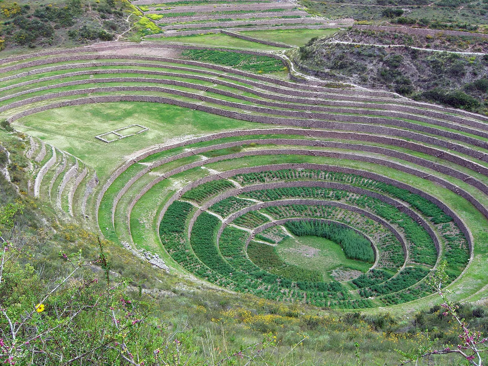 The circular green terraces of Moray