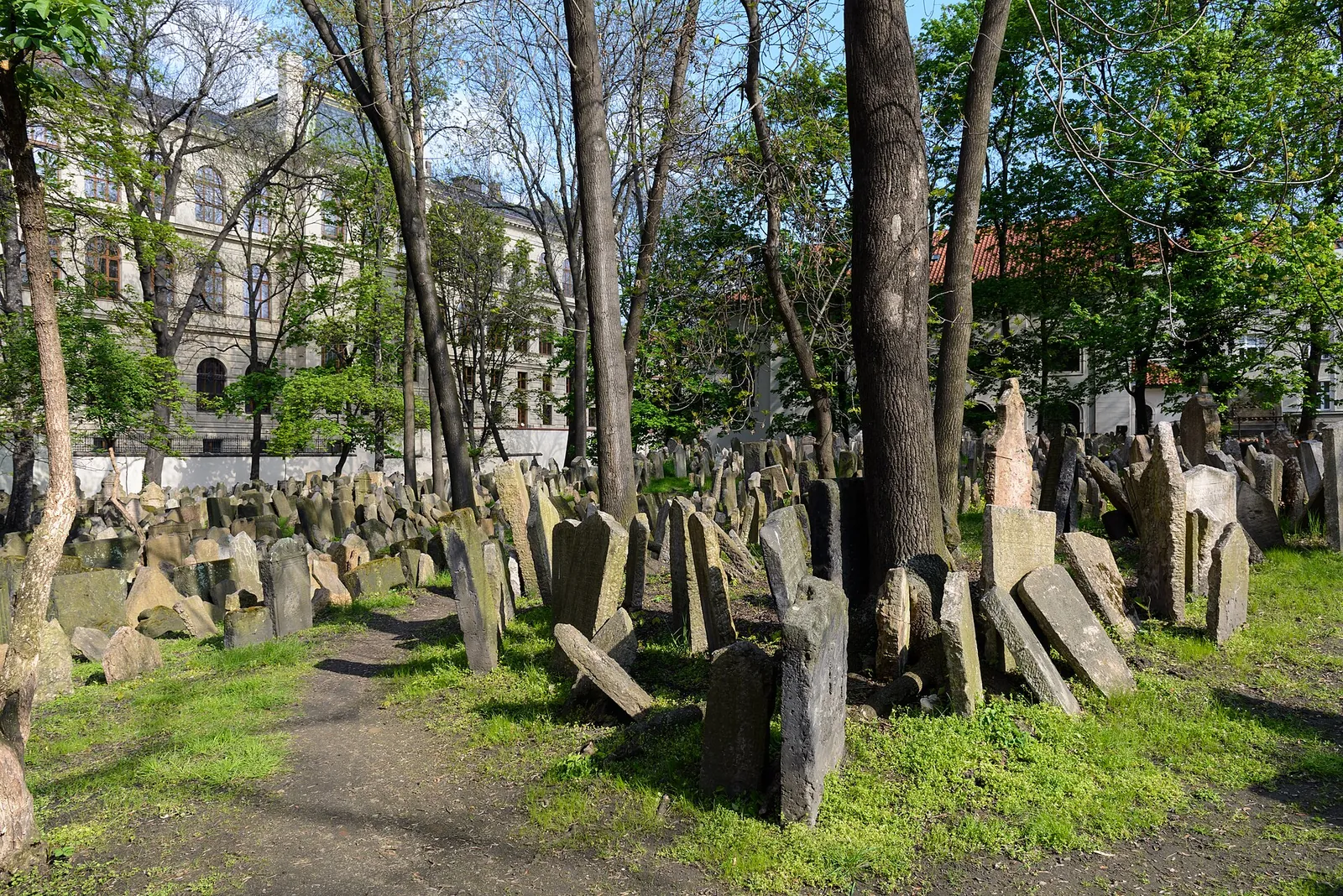 Leaning headstones in the Old Jewish Cemetery