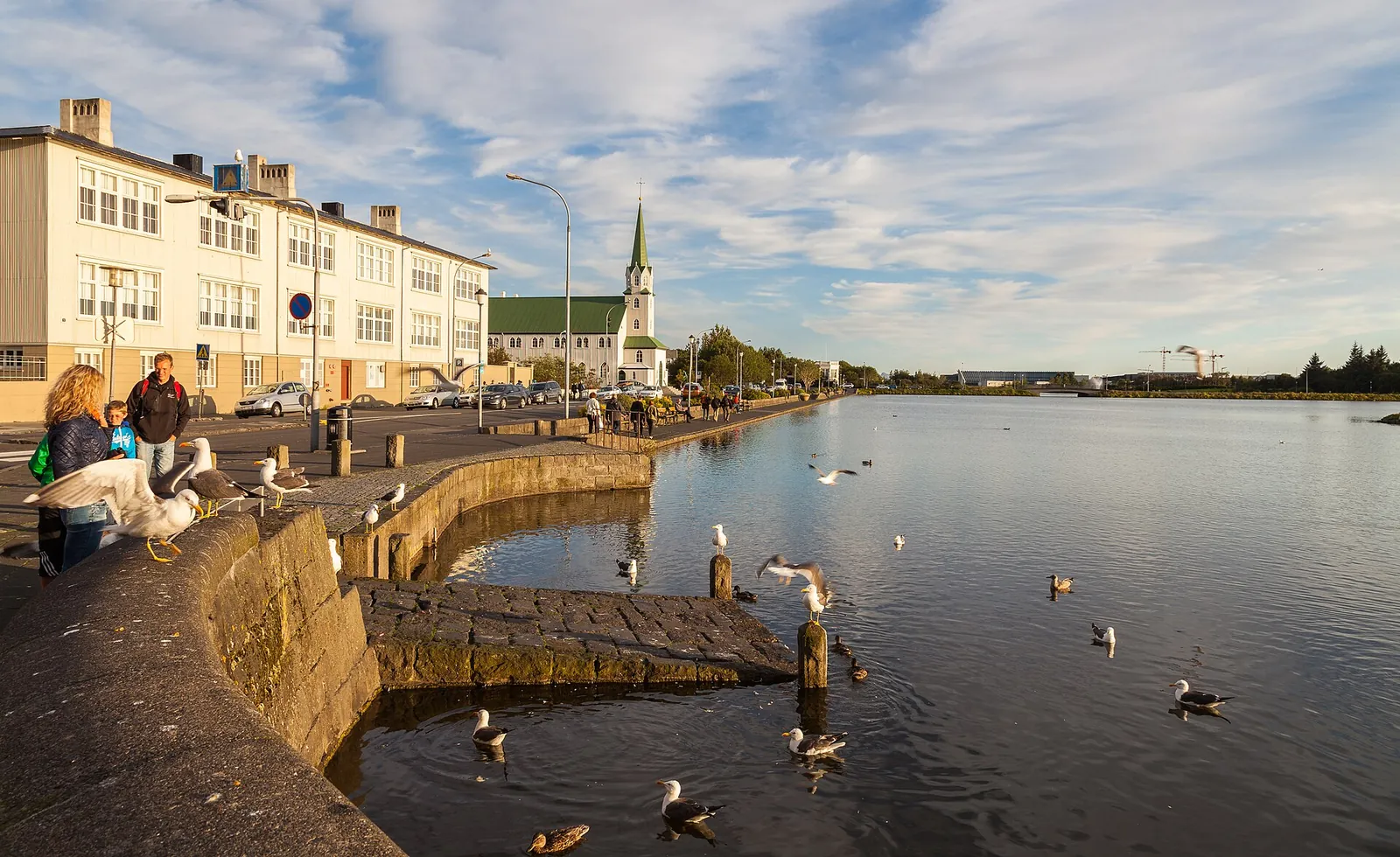 Birds and pastel houses around Tjörnin pond