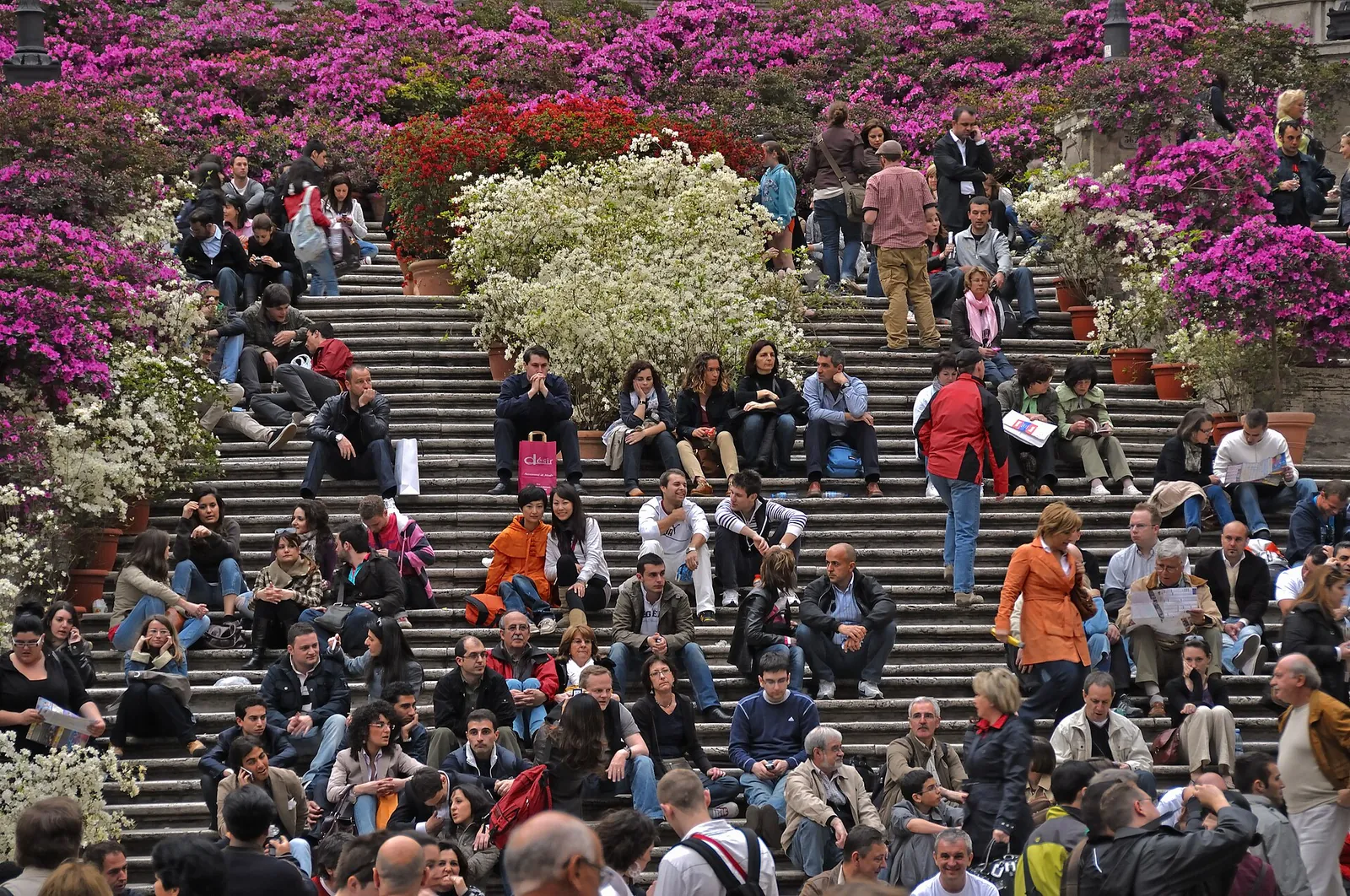 Spanish Steps decked with pink azaleas in spring