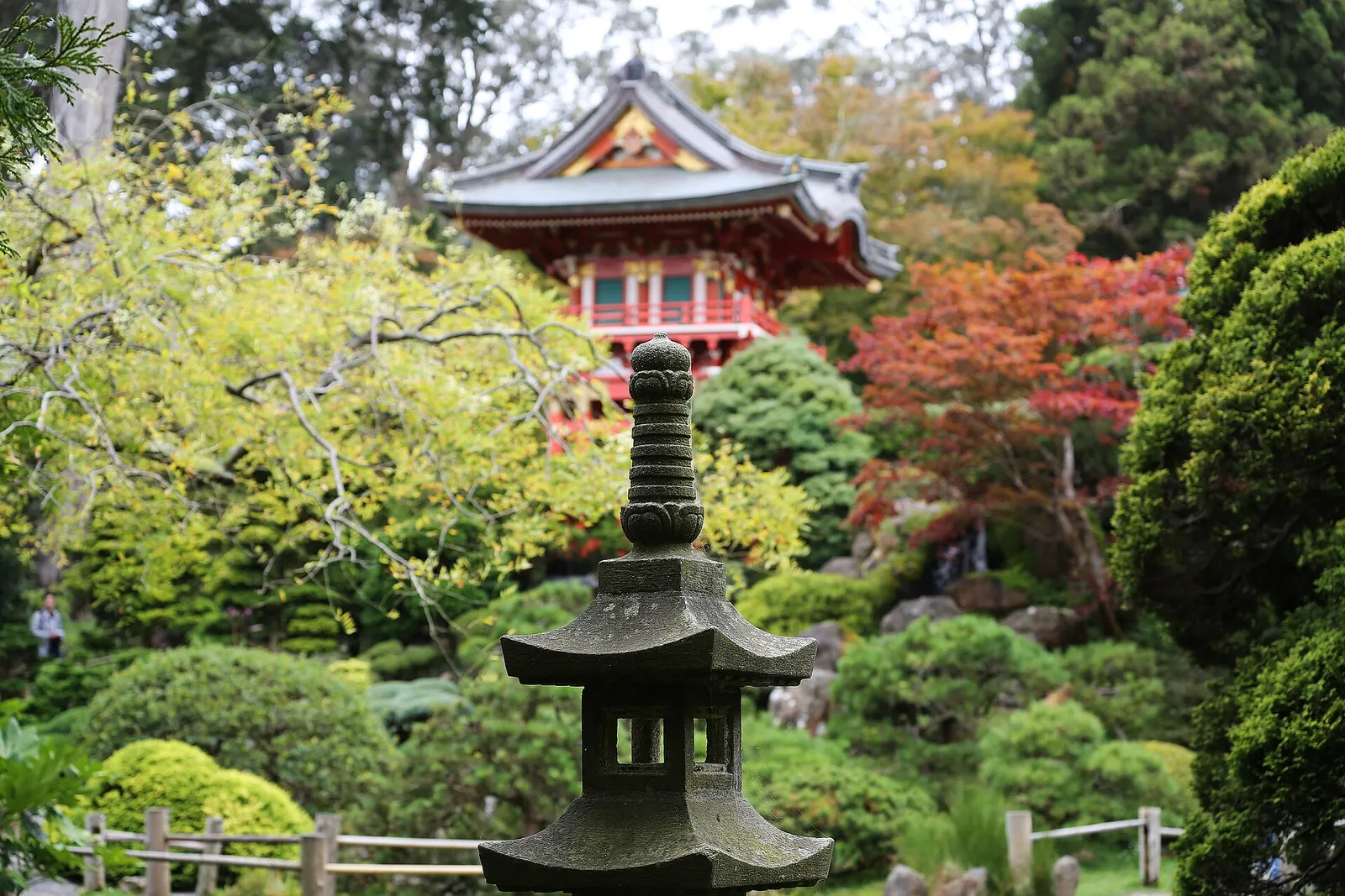 Pagoda and stone lantern in the Japanese Tea Garden