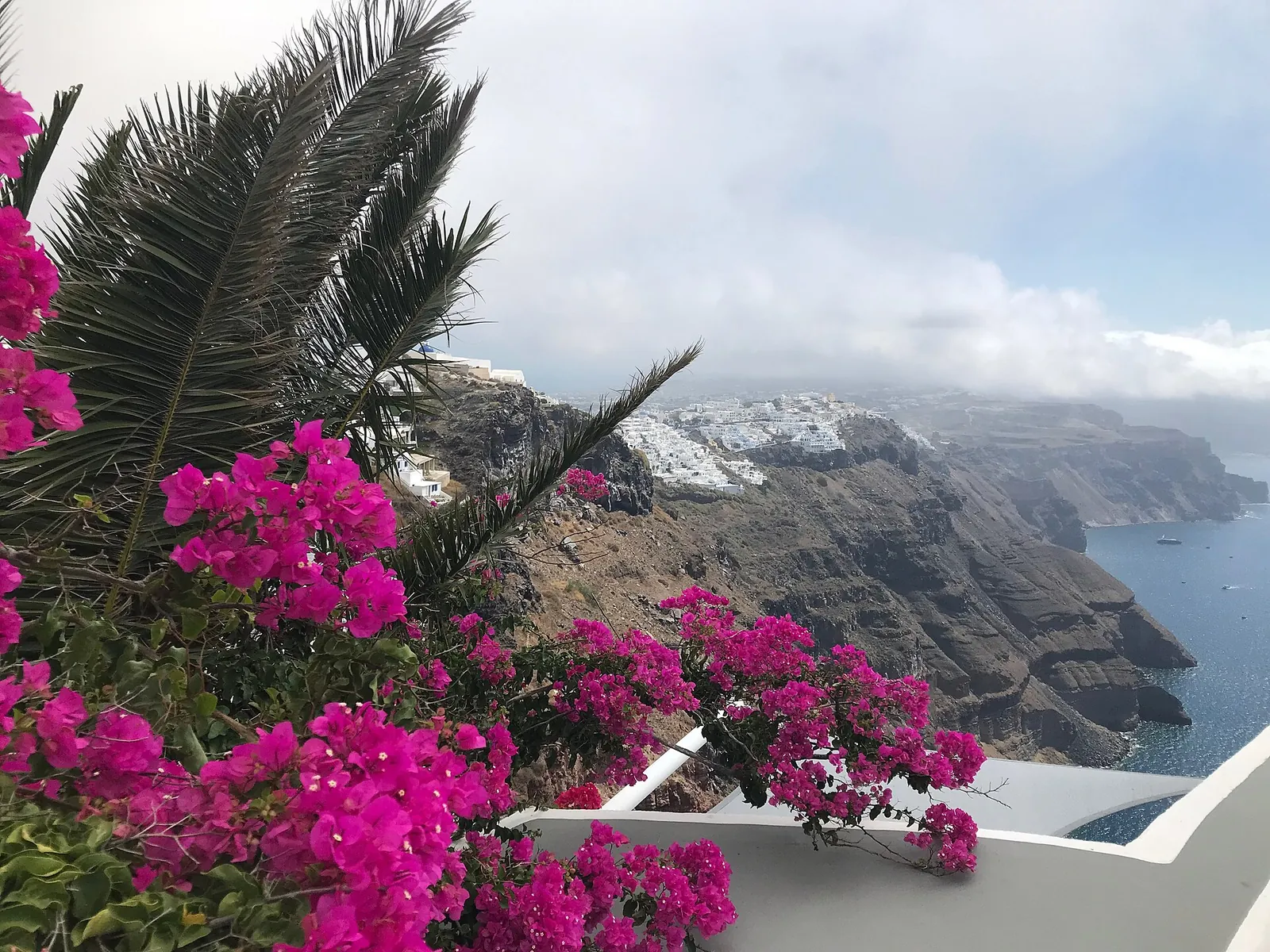 Pink bougainvillea on the caldera path at Imerovigli
